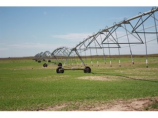 Property photo 16 - LAND AUCTION, 3255+/- Acres offered in 13 Tracts